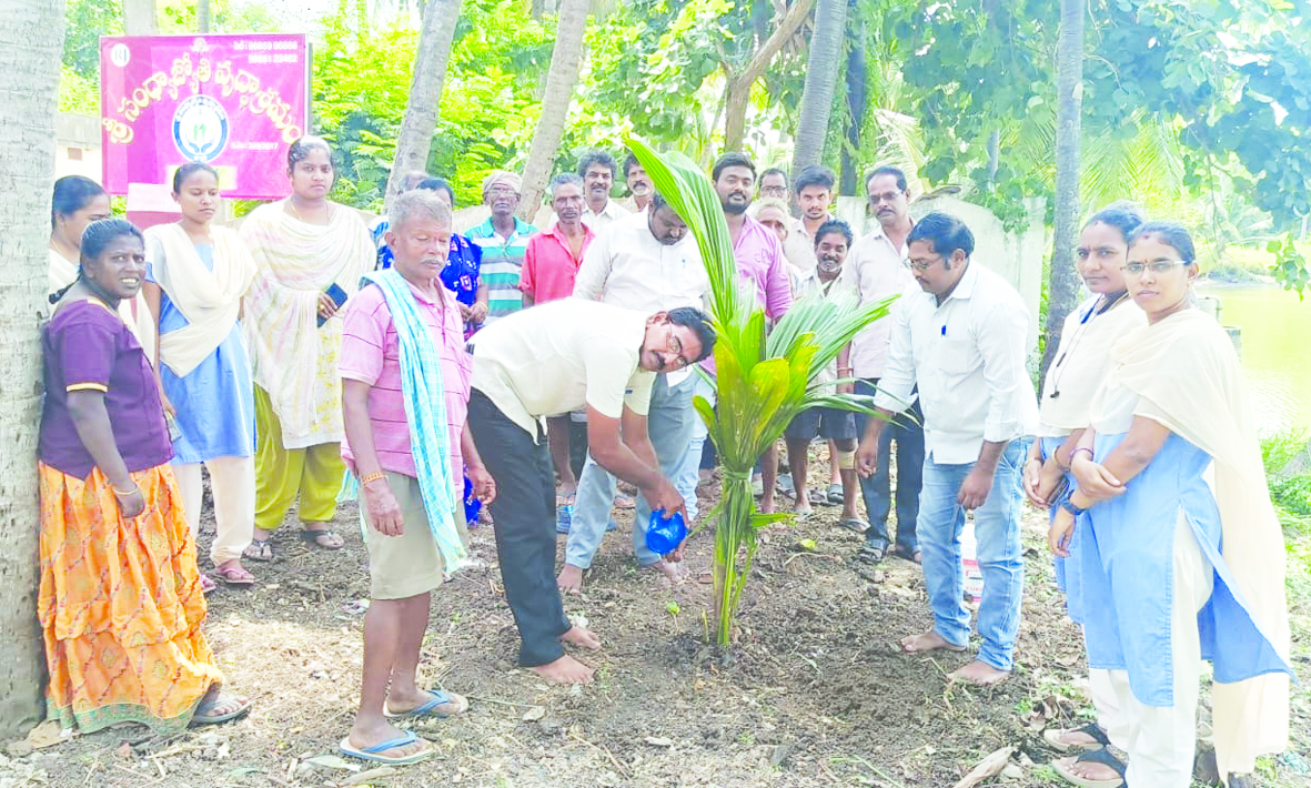 పర్యావరణ పరిరక్షణ అందరి బాధ్యత : కలెక్టర్‌