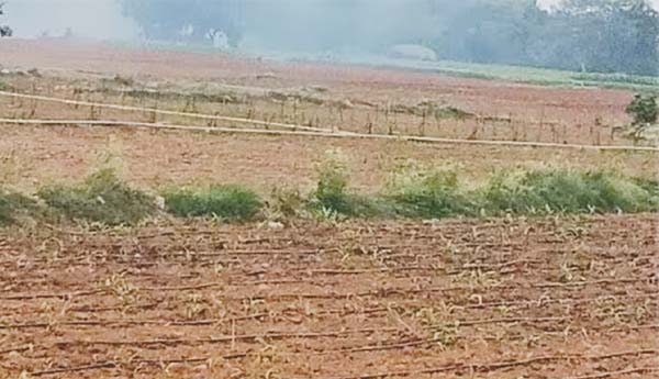 అసైన్డ్‌ భూముల రెగ్యులరైజేషన్‌కు కసరత్తు