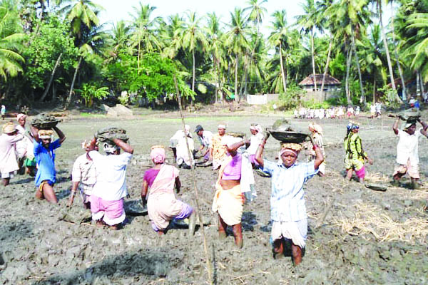 కనీస వేతనాలు కరువు