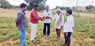 వేరుశనగ పంటను పరిశీలిస్తున్న సిపిఎం నాయకులు