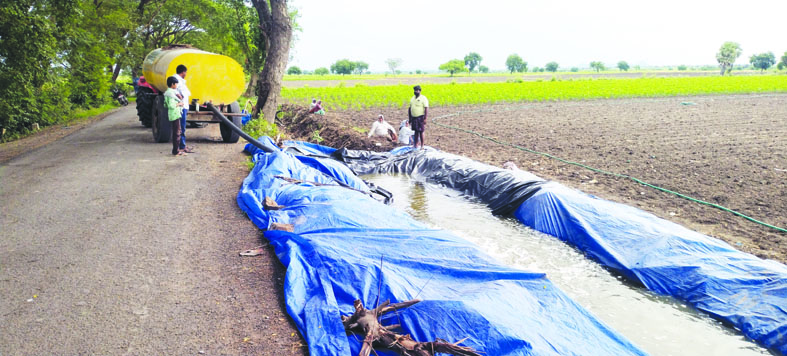 పల్నాడులో కరువు ఛాయలు!
