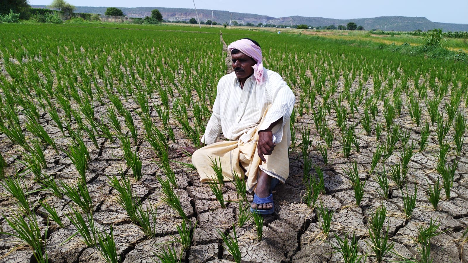 బోరు ఎండిపోవడంతో నీరందక బీటలు వారిన వరి పొలంలో దిగాలుగా కూర్చున్న రైతు