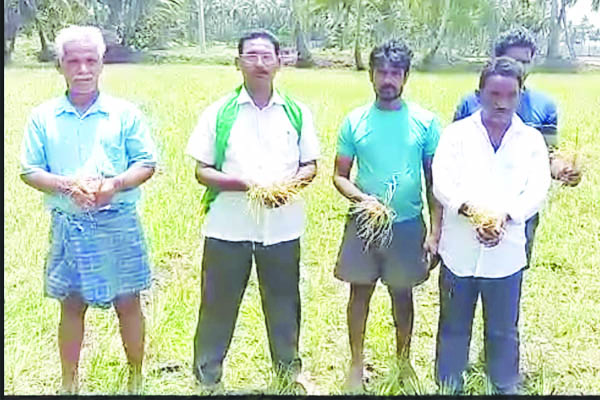 సాగునీరు అందించాలి