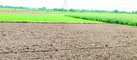 ఆశలన్నీ ఆరుతడిపైనే