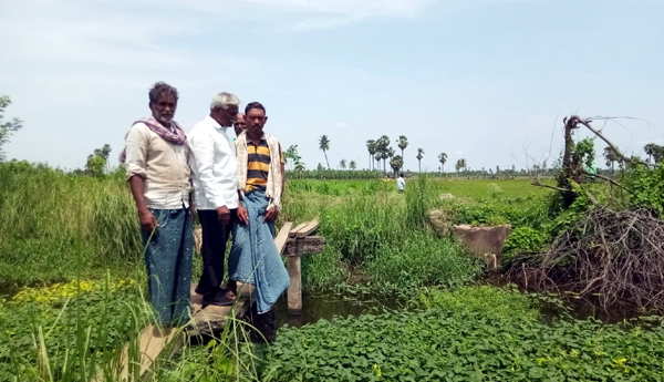 డ్రెయిన్లలో పూడిక తీయించాలి