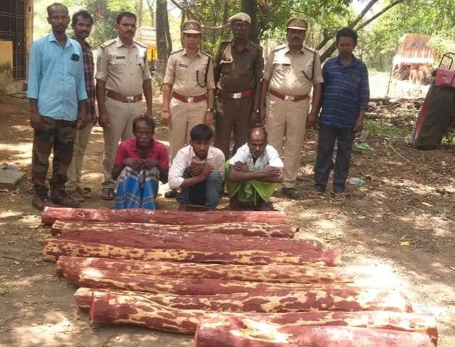 ముగ్గురు ఎర్రచందనం స్మగ్లర్లు అరెస్టు