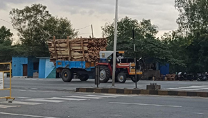 అటవీ సంపద