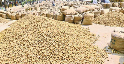 పసుపు ధరలకు రెక్కలు 