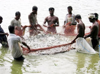 ధీనావస్థలో గంగపుత్రులు 