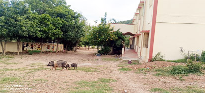  అభద్రనడుమ కెజిబివి