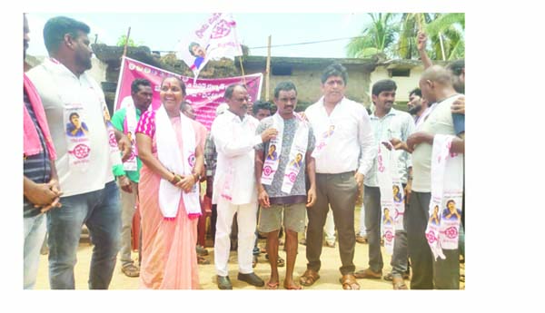 బుదురువాడలో జనసేన వారోత్సవాలు