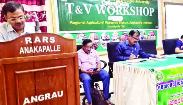 ప్రత్యామ్నాయ పంటల ప్రణాళికపై దృష్టి