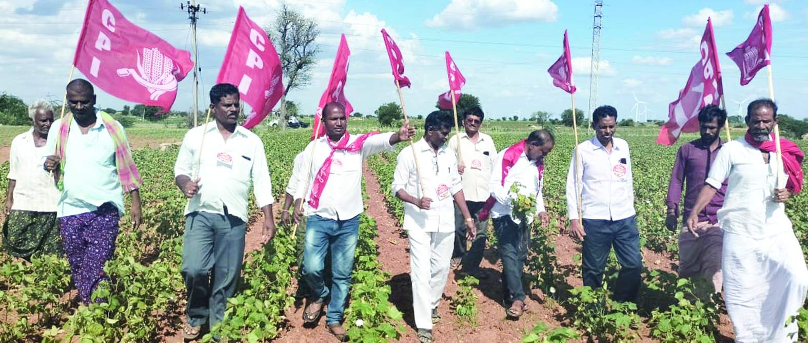 పంట పొలాలను పరిశీలిస్తున్న నాయకులు