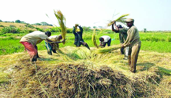 Social-Inequalities-in-Insurance