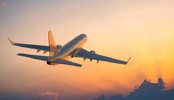 /Indian-techies-followed-the-path-of-Canada-15-thousand-people-in-12-months