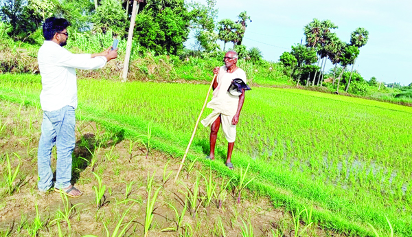  నత్తనడకన ఇ-క్రాప్‌