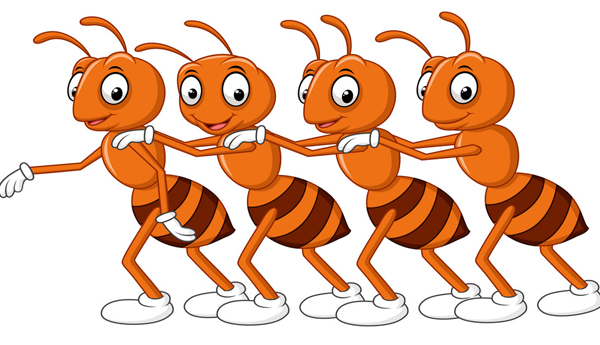 Check-for-ants