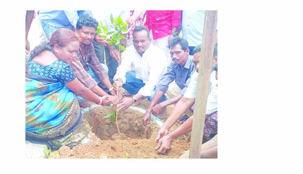 పర్యావరణాన్ని కాపాడాలి : ఎంపిపి