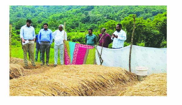 అంతర పంటలతో అధిక ఆదాయం