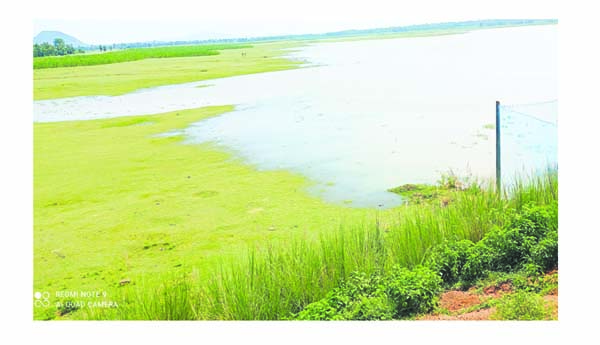 కమ్ముకొంటున్న కరువు మేఘాలు