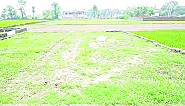 ఖరీఫ్‌ సాగు ప్రశ్నార్థకం!