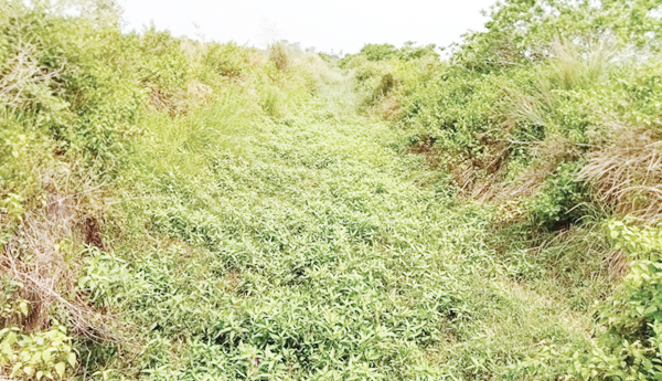 అనుసంధాన పనులు పూర్తయ్యేనా?