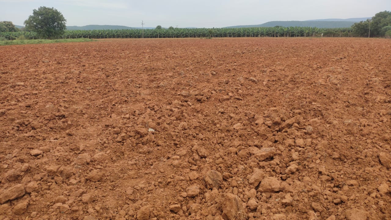 విత్తనం వేయకపోవడంతో ఖాళీగా దర్శనమిస్తున్న పొలం