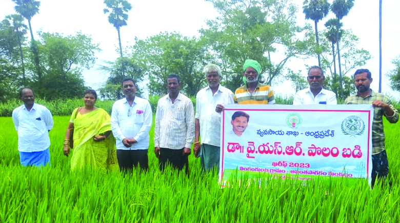 లింగం గుంటలో 'పొలంబడి'