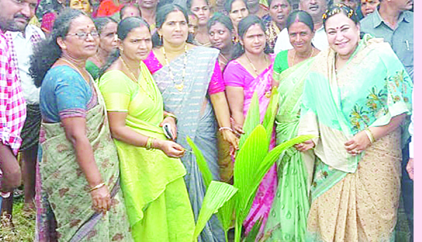 పర్యావరణ పరిరక్షణకు కృషి