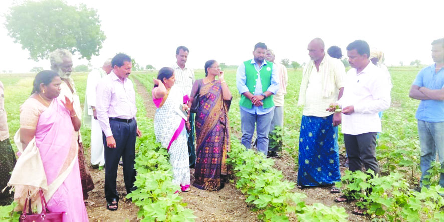 రైతులు వ్యవసాయాన్ని లాభసాటిగా చేసుకోవాలి