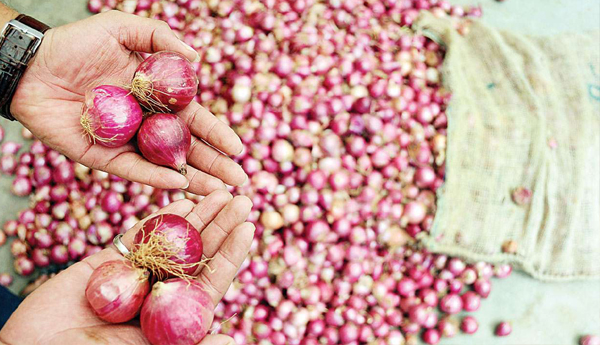 By-a-month-and-a-half-onion-thunder