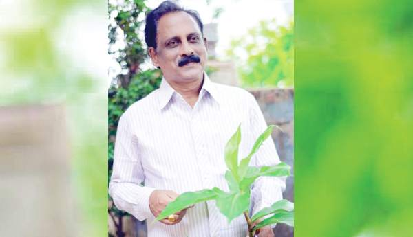 Me-too-in-environmental-protection