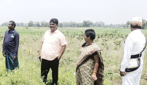 మొక్కల పెంపకంపై ప్రత్యేక దృష్టి