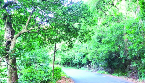 భయం.. భయం..