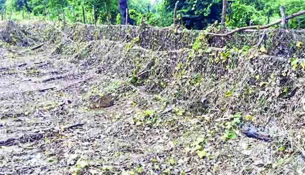 వరద బాధితుల పట్ల నిర్లక్ష్యం