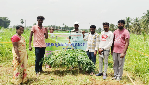 నవధాన్యాల సాగుపై అవగాహన