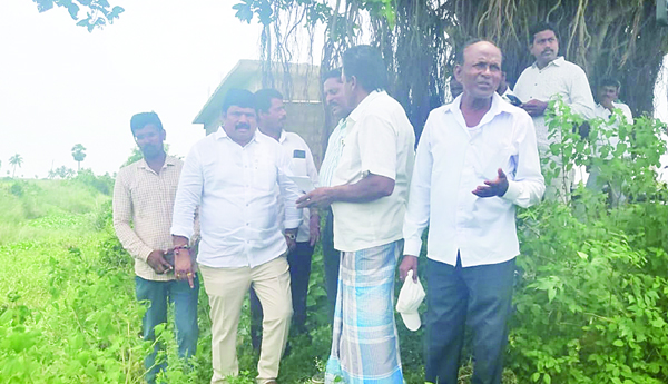 గుర్రపుడెక్కతో రైతులు విలవిల