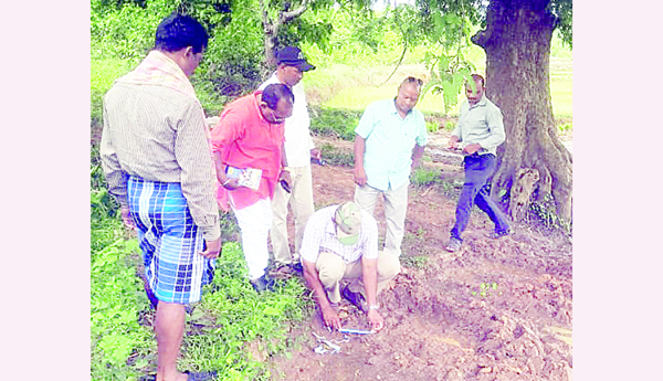 మన్యంలో పులి సంచారం