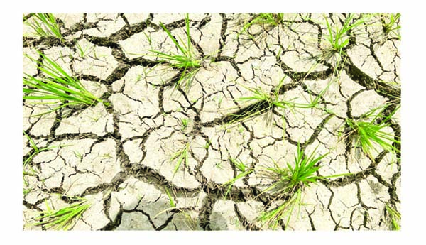 కమ్ముకొస్తున్న కరువు మేఘాలు