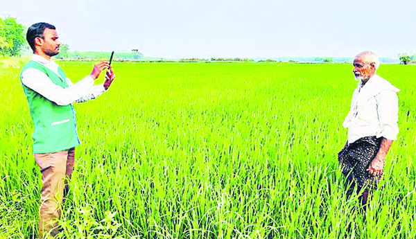 మందకొడిగా ఇ-క్రాప్‌ నమోదు