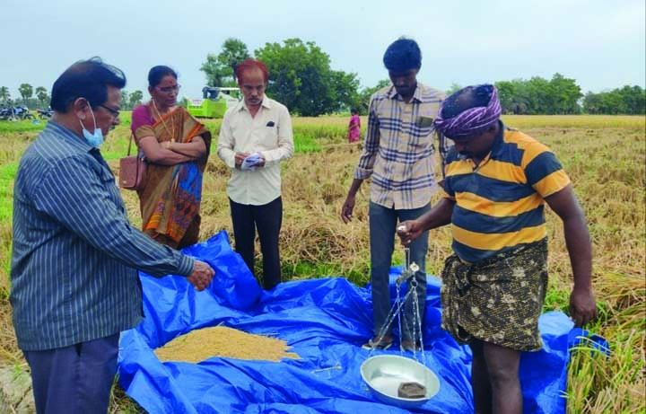 పేడూరులో పంటకోత ప్రయోగం..!