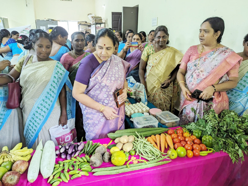 పర్చూరులో స్టాల్స్‌ పరిశీలిస్తున్న సిడిపిఓ సుభ్రద