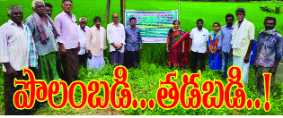  పొలం బడి..తడబడి..!