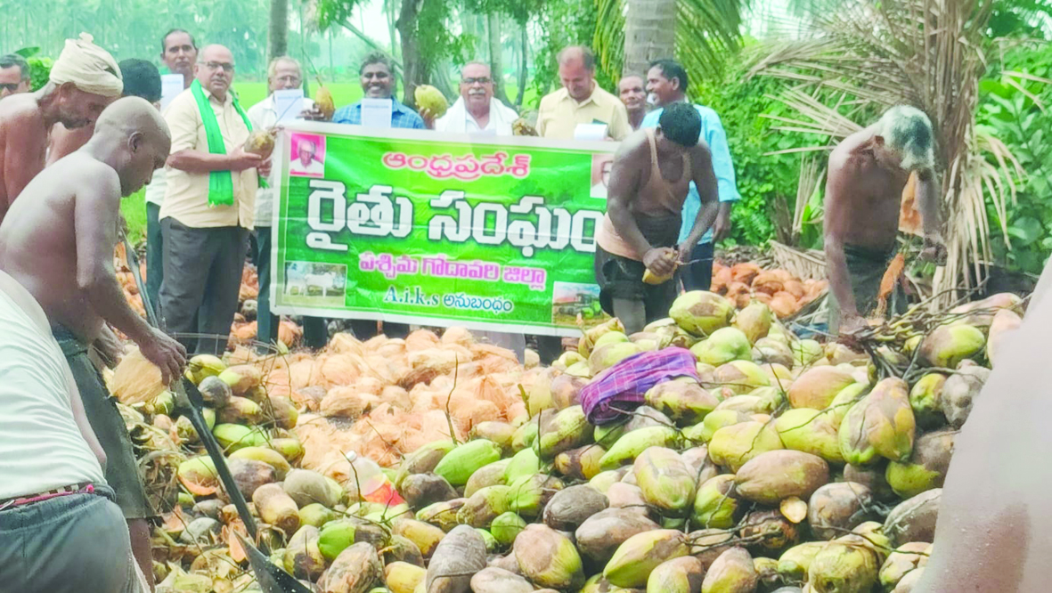 కొబ్బరి రైతుల సమస్యలు పరిష్కరించాలి