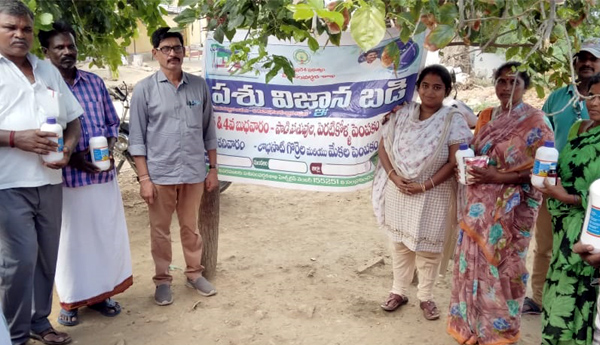 లంపీ స్కిన్‌ వ్యాధికి టీకాలే సరైన వైద్యం : కె. ప్రతాప్‌