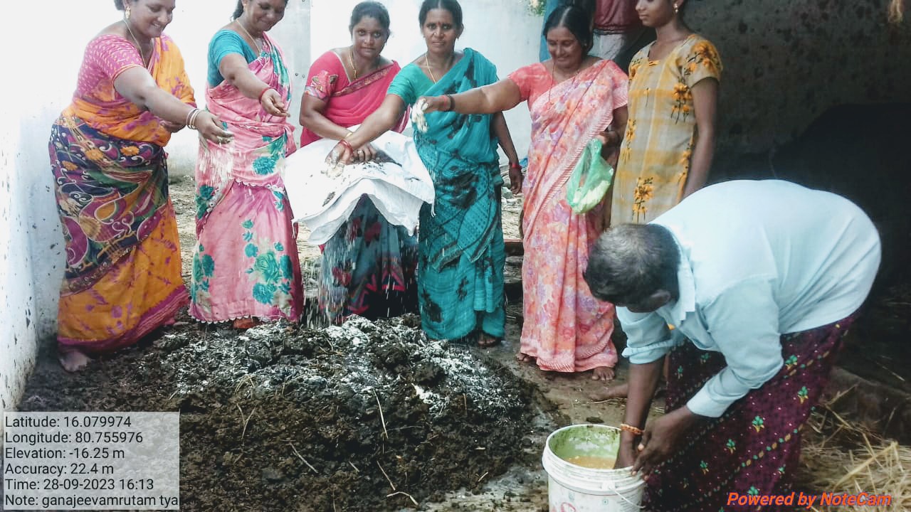 ఐలవరంలో ప్రకృతి ఎరువు తయారు చేస్తున్న ఎన్సీపీలు
