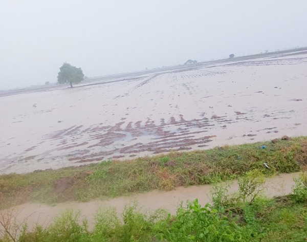 ఖరీఫ్‌ పైనే ఆశలన్నీఅంటున్న రైతులు