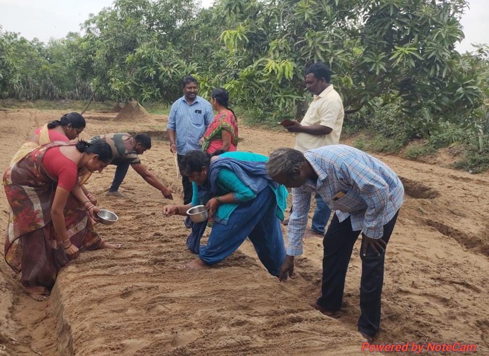 ప్రకృతి వ్యవసాయం మాస్టర్ ట్రైనర్ పి భారతి