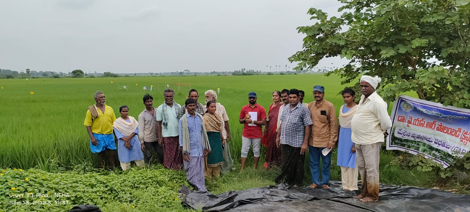 తక్కువ పెట్టుబడితో ఎక్కువ దిగుబడులు సాధించాలి