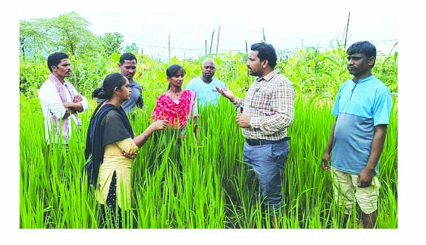 గట్లపై కూరగాయల పెంపకంతో ఆదాయం